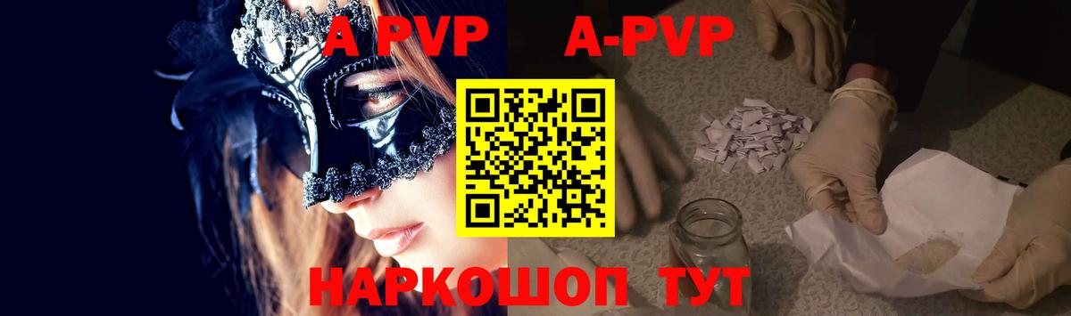 Alfa_PVP СК Киселёвск
