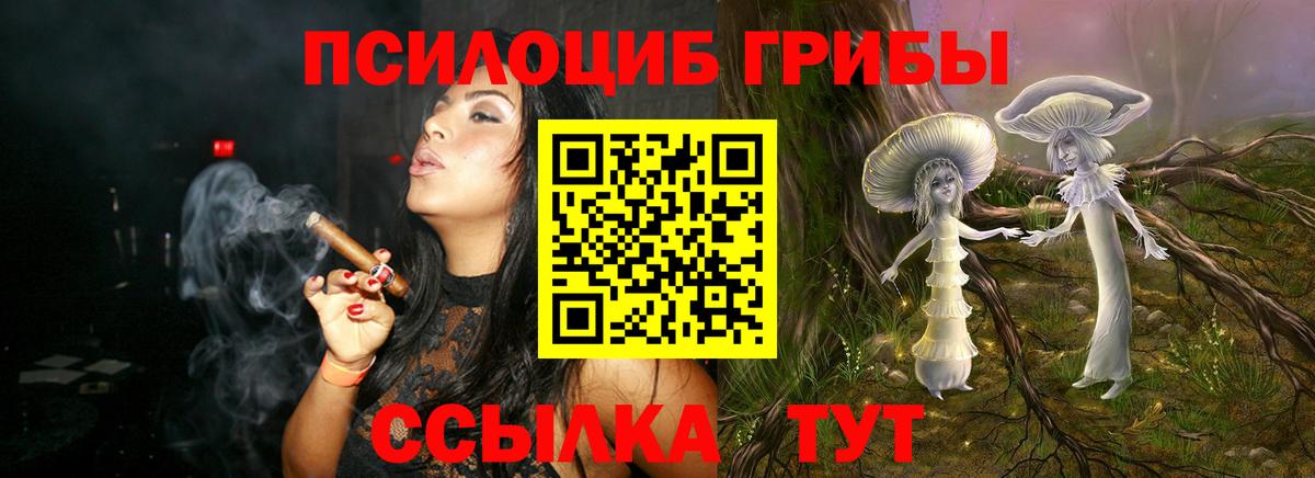 где купить   Псилоцибиновые грибы GOLDEN TEACHER  Вход с VPN  Киселёвск 